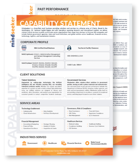 Mindseeker Capability Statement